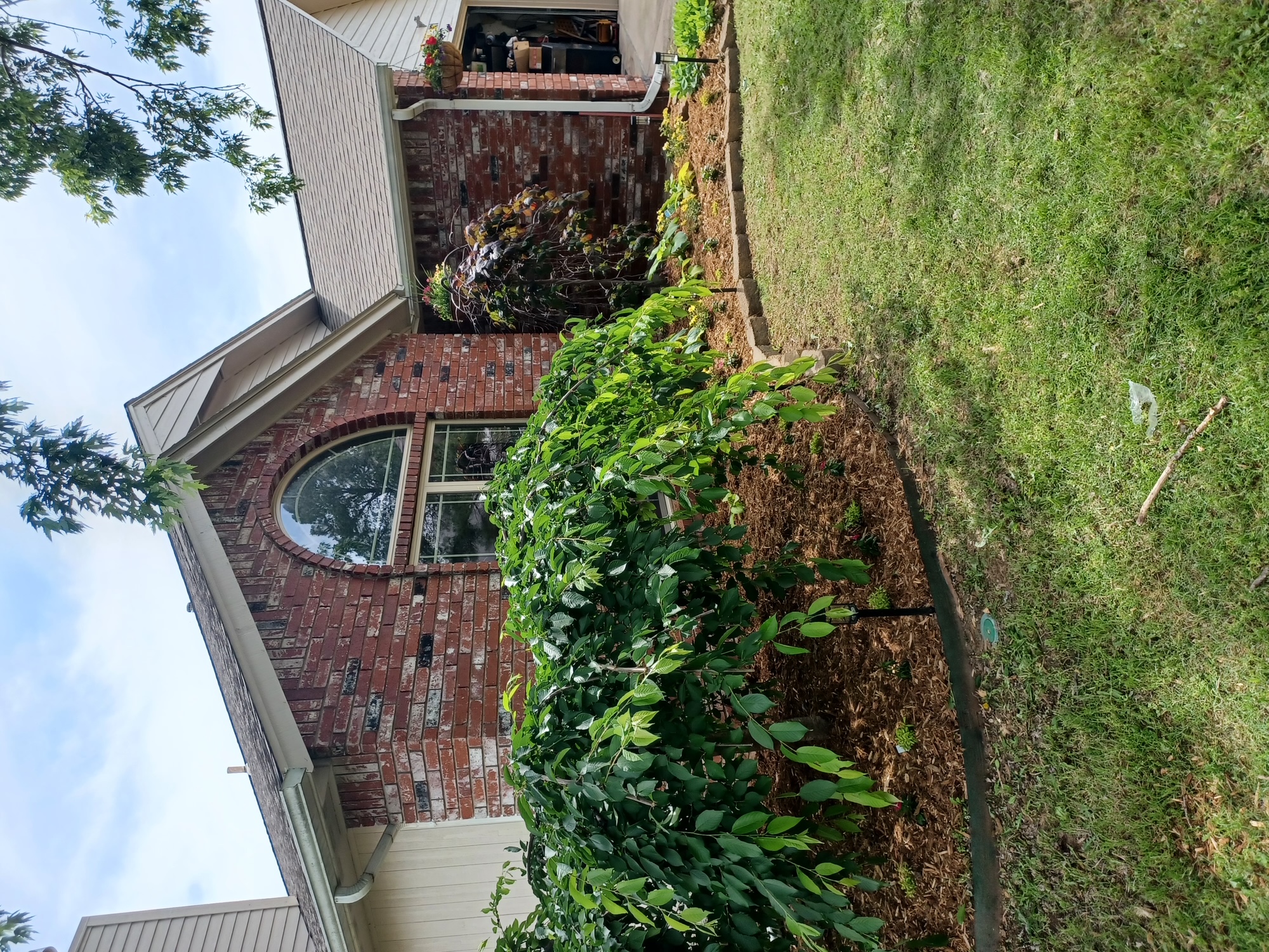 Completed lawn care job