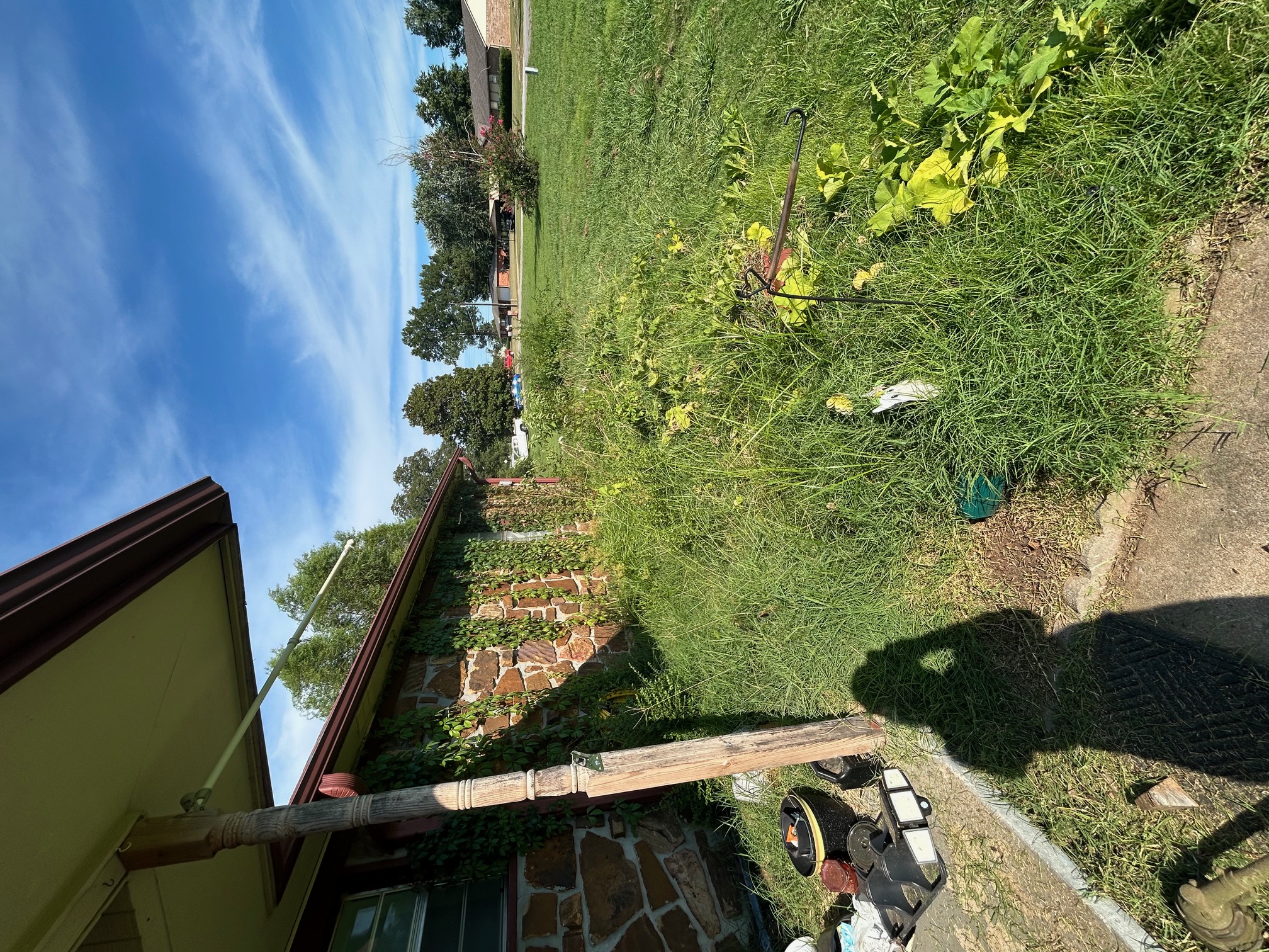 Before: lawn care job