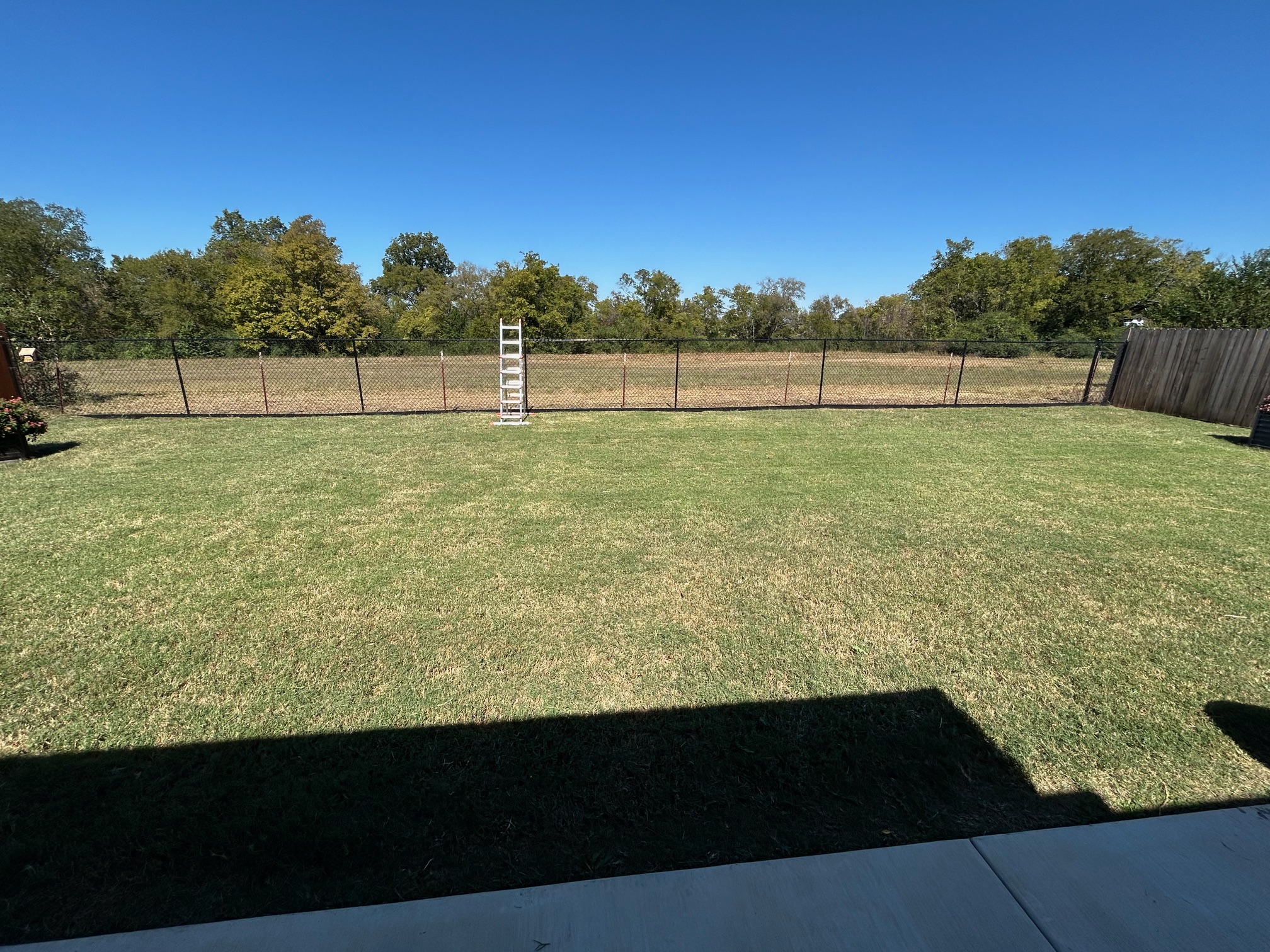 After: lawn care job