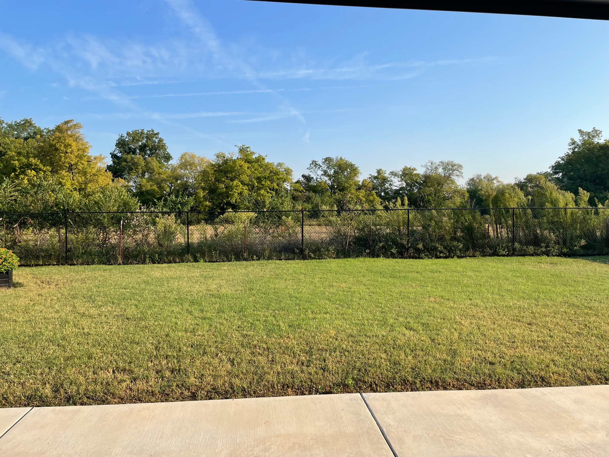 Before: lawn care job